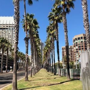 Meet your Posher, Candace